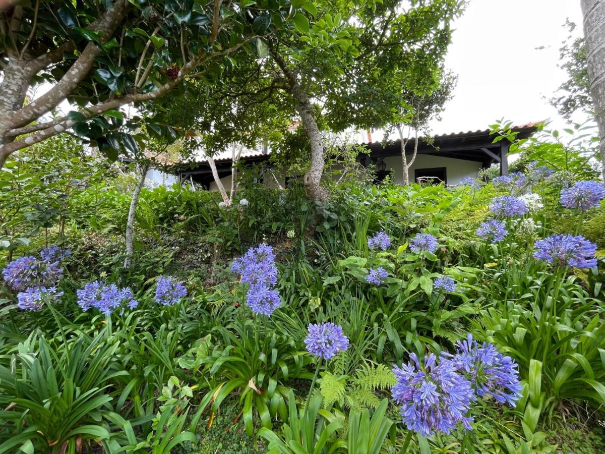 Casas De Campo Do Pomar B&B - Self Check-In Santana  Exterior photo