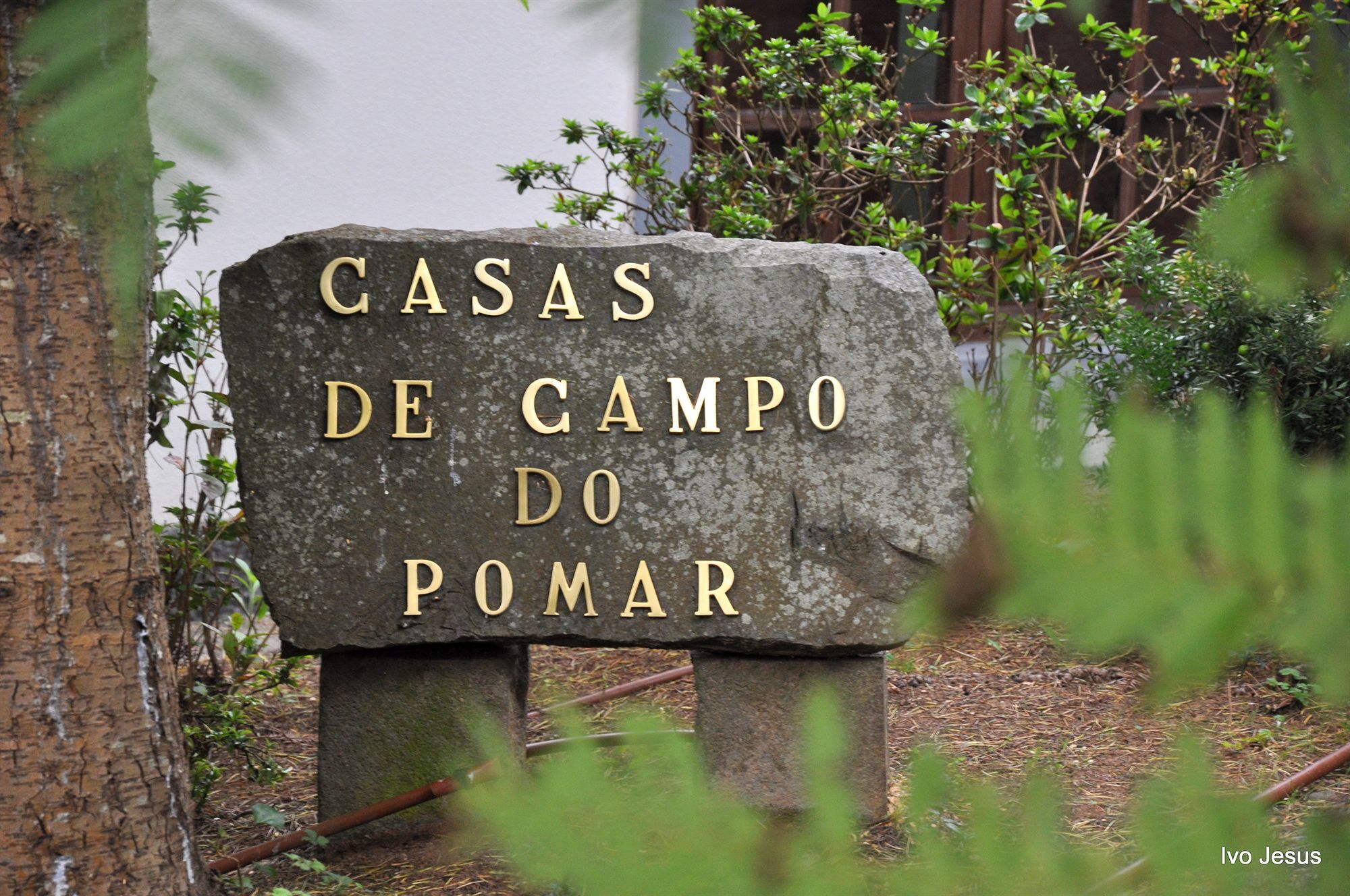 Casas De Campo Do Pomar B&B - Self Check-In Santana  Exterior photo